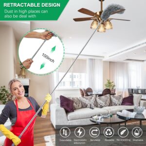 Extendable Cobweb Duster with 100 inches Extra Long Pole